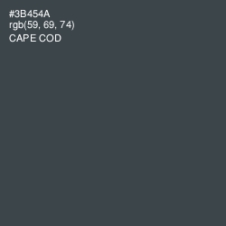 #3B454A - Cape Cod Color Image